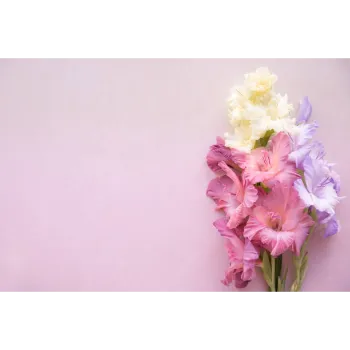 Natural Gladiolus Flower